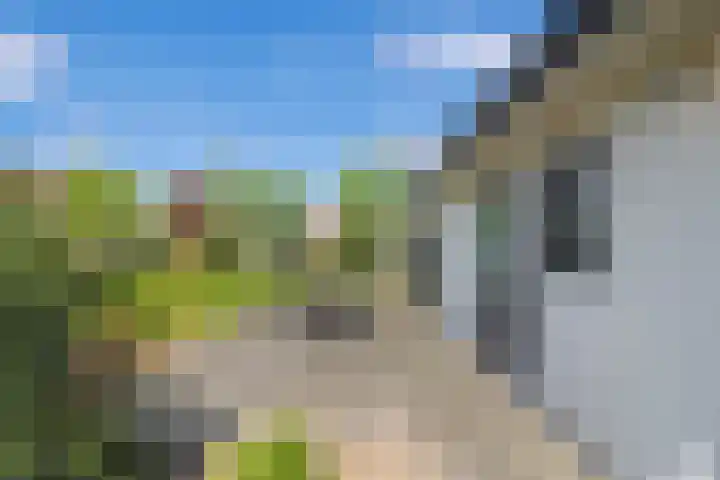 Boschlaan 26 37 Lichtenvoorde thumbnail 18