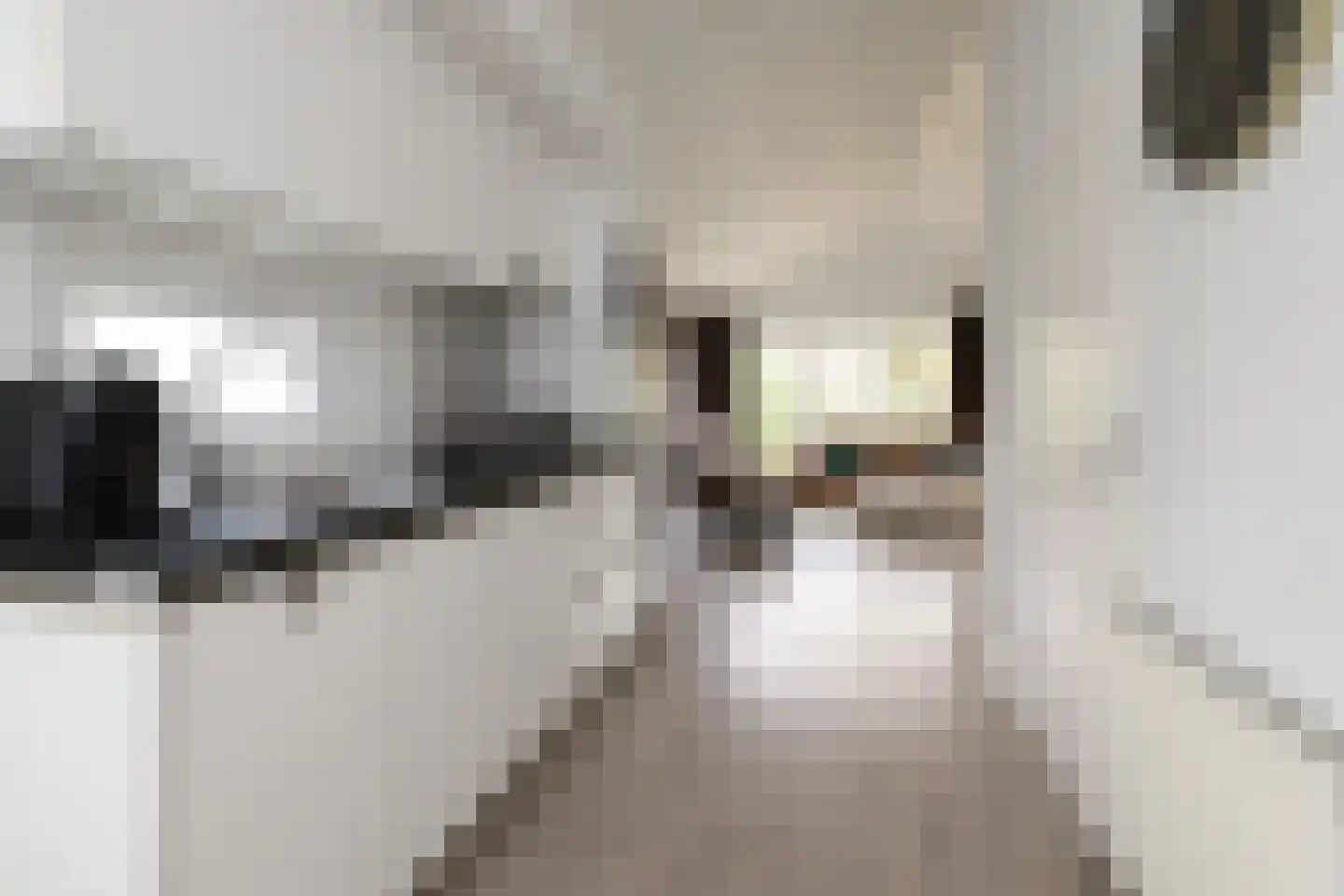 Boschlaan 26 42 Lichtenvoorde thumbnail 11