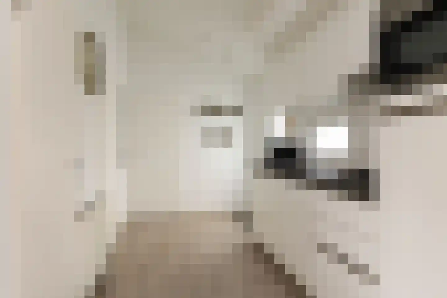 Boschlaan 26 42 Lichtenvoorde thumbnail 15