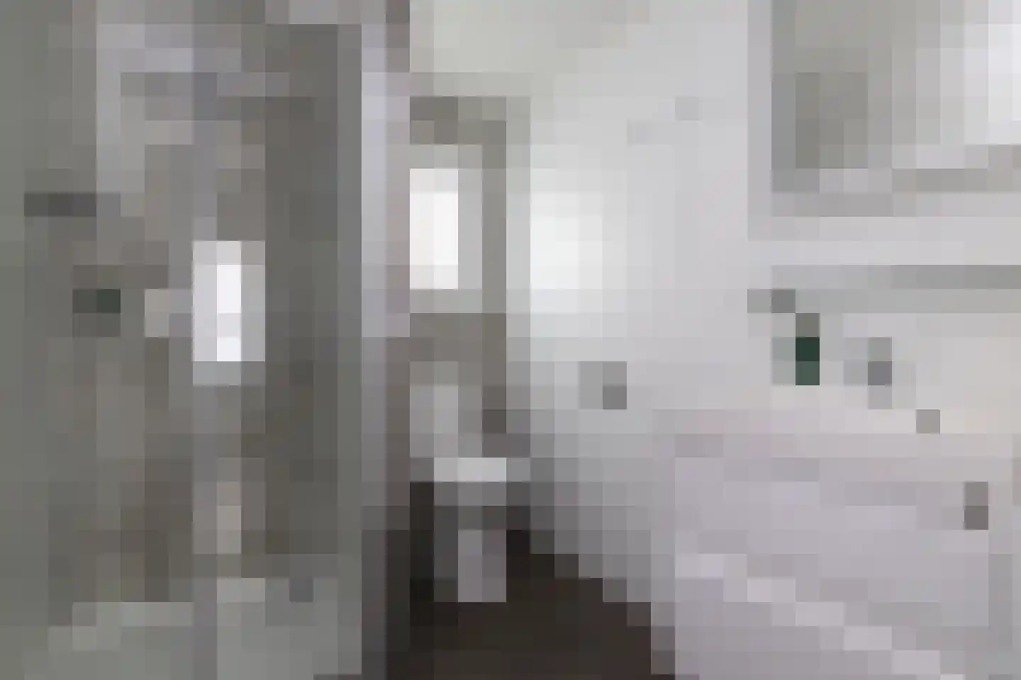 Boschlaan 26 42 Lichtenvoorde thumbnail 18