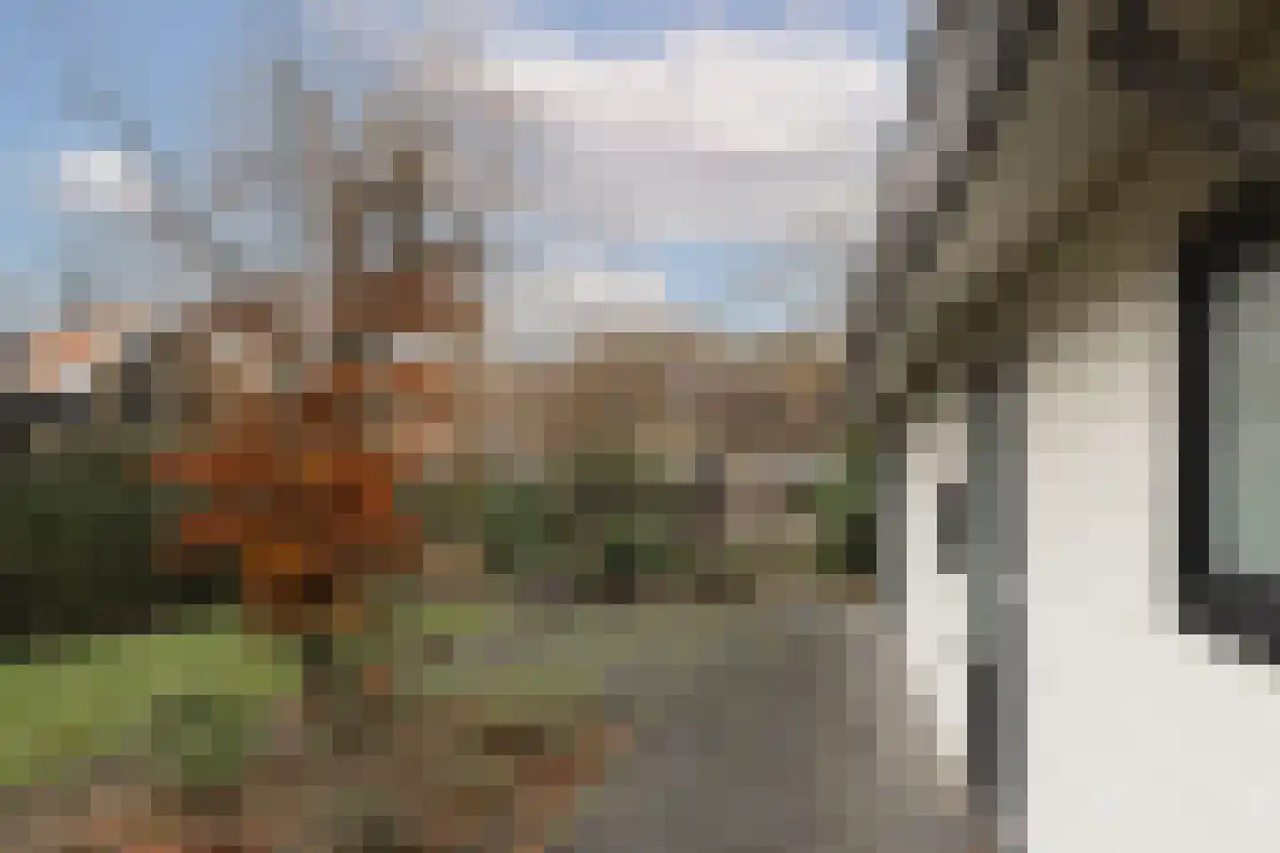 Boschlaan 26 42 Lichtenvoorde thumbnail 23