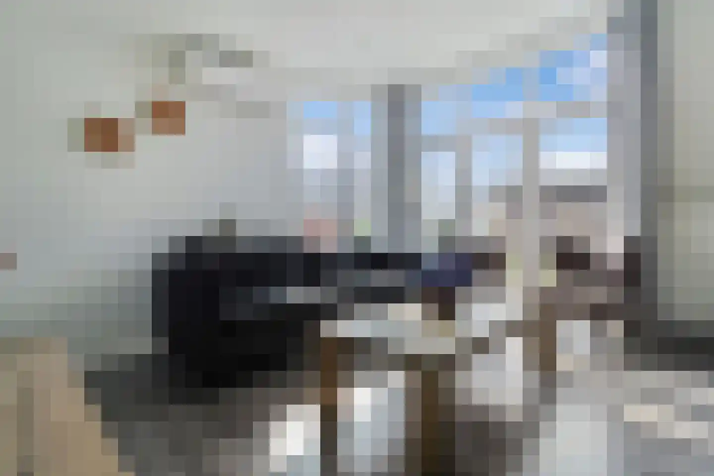 Boschlaan 26 47 Lichtenvoorde thumbnail 6
