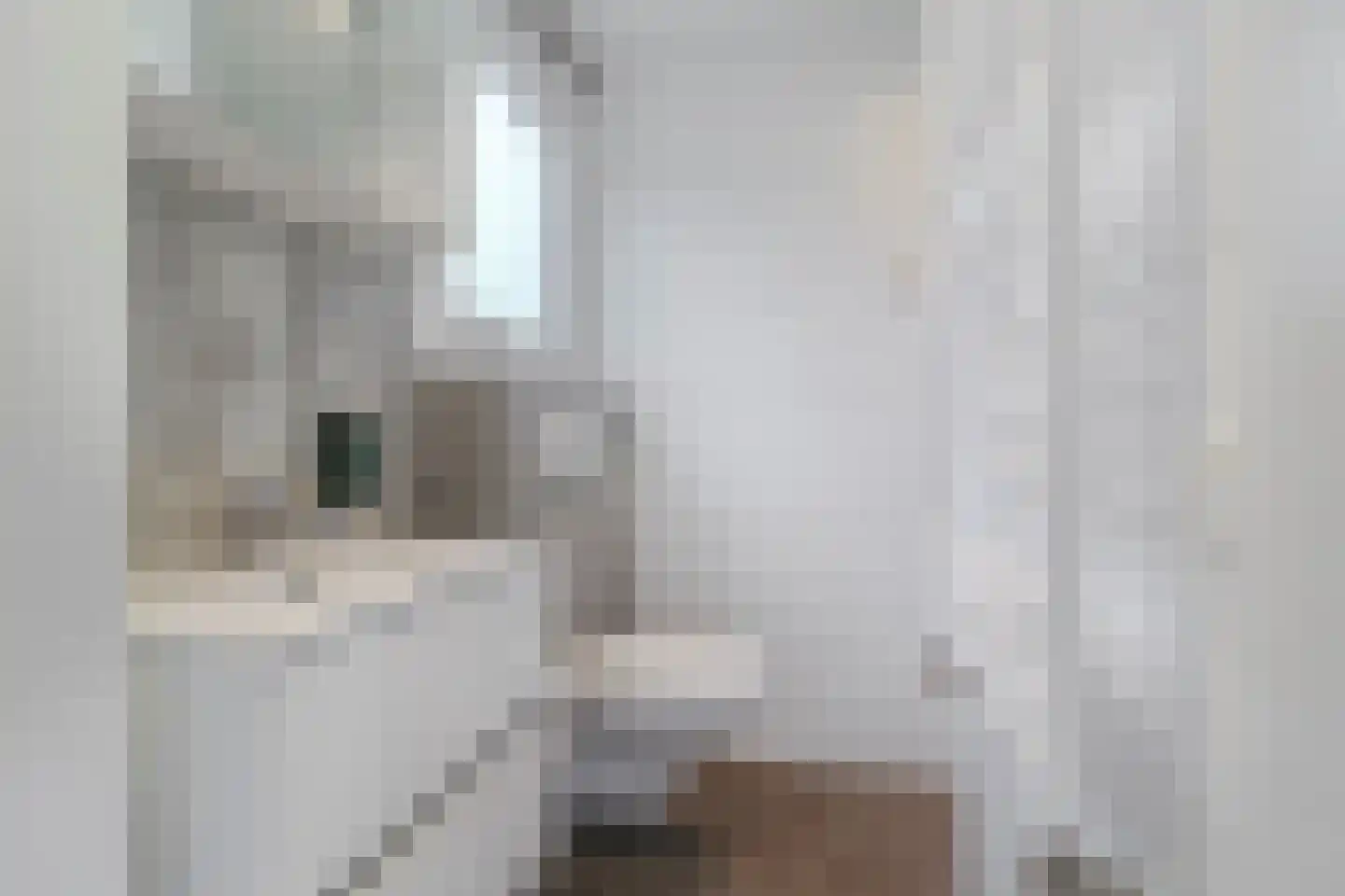 Boschlaan 26 48a Lichtenvoorde thumbnail 18