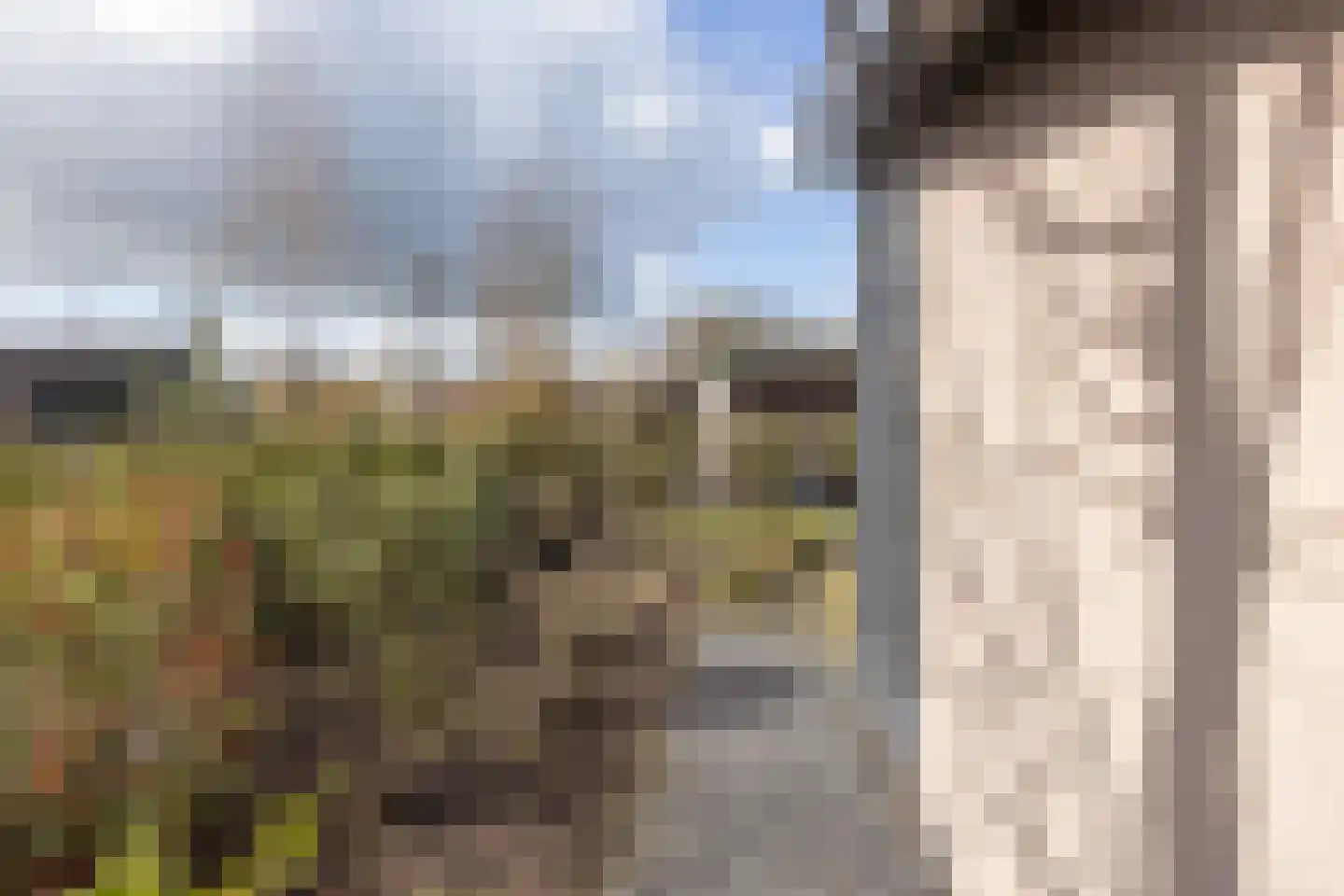Boschlaan 26 50 Lichtenvoorde thumbnail 18