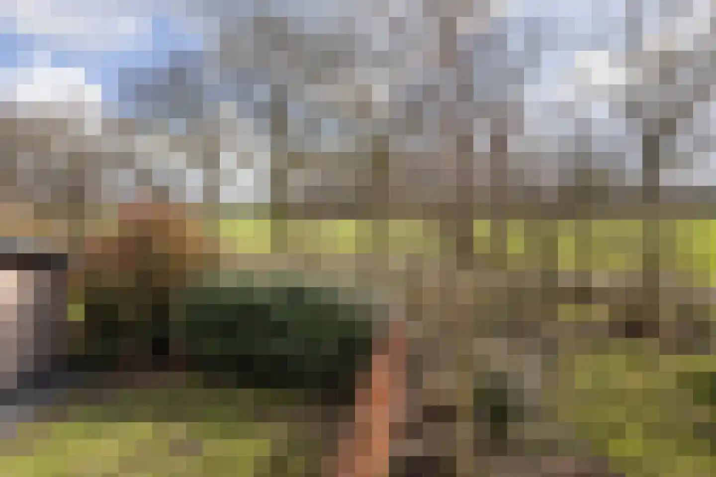 Boschlaan 26 50 Lichtenvoorde thumbnail 19