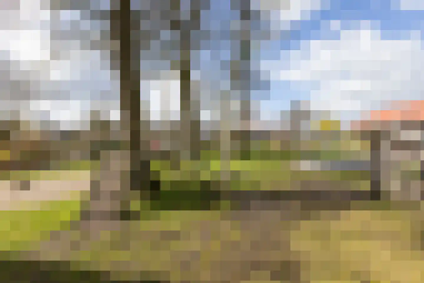 Boschlaan 26 50 Lichtenvoorde thumbnail 24