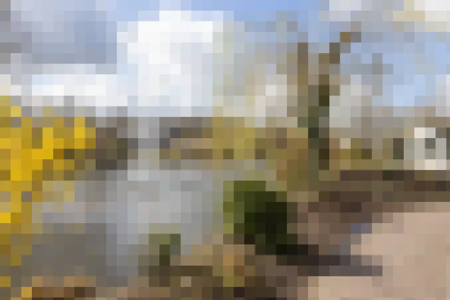 Boschlaan 26 50 Lichtenvoorde thumbnail 26