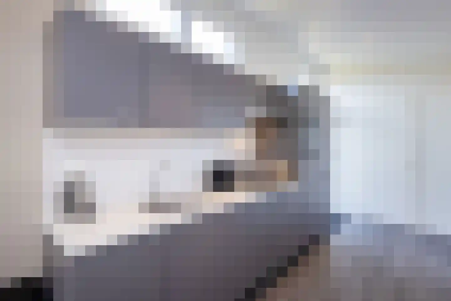 Boschlaan 26 50 Lichtenvoorde thumbnail 6