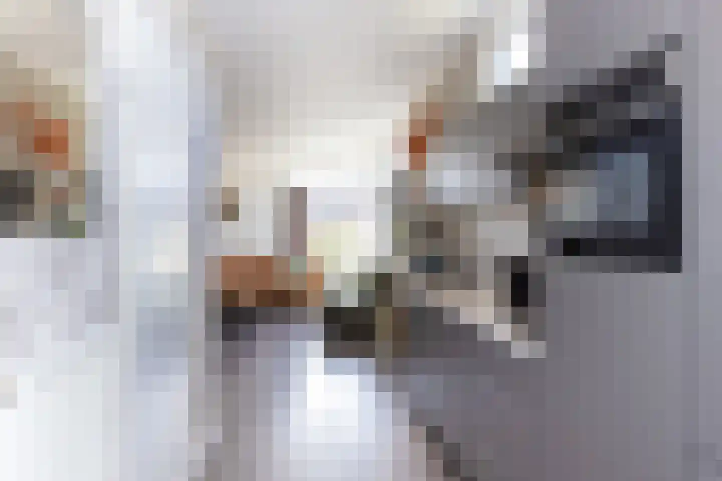Boschlaan 26 50 Lichtenvoorde thumbnail 7