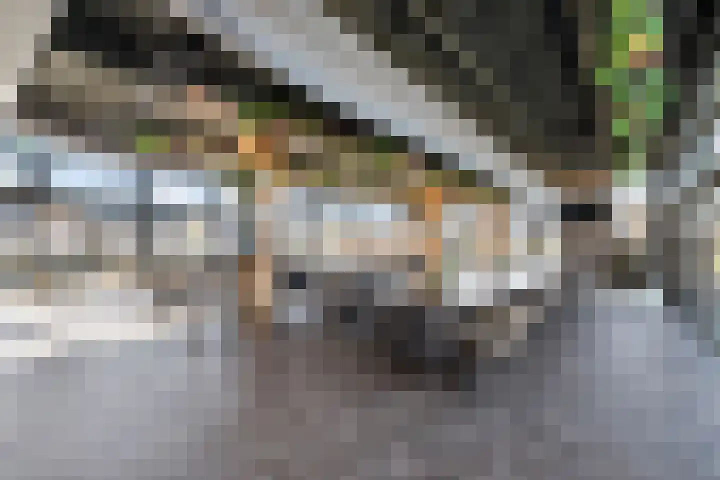 Boschlaan 26 63 Lichtenvoorde thumbnail 32