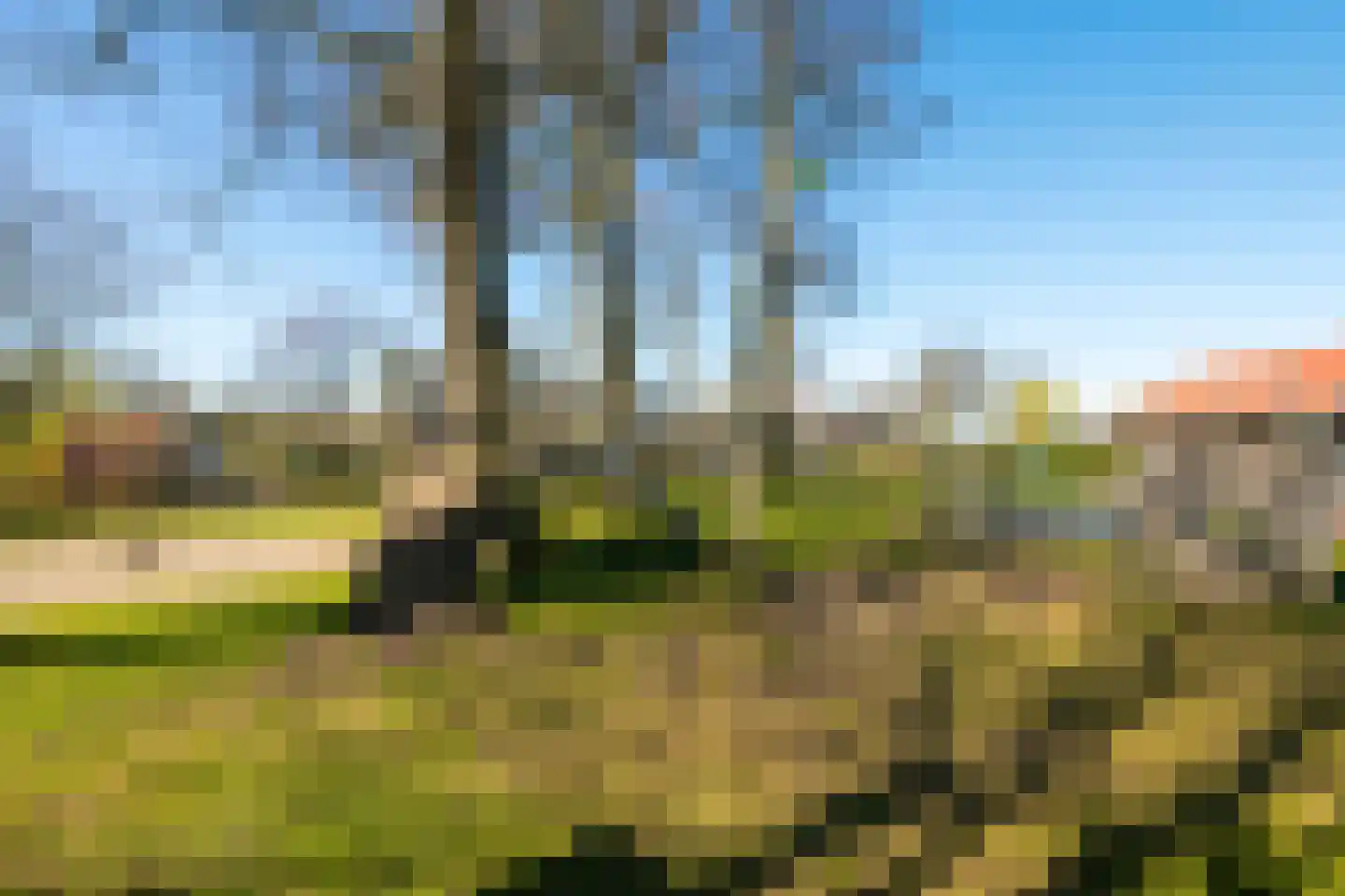 Boschlaan 26 63 Lichtenvoorde thumbnail 35