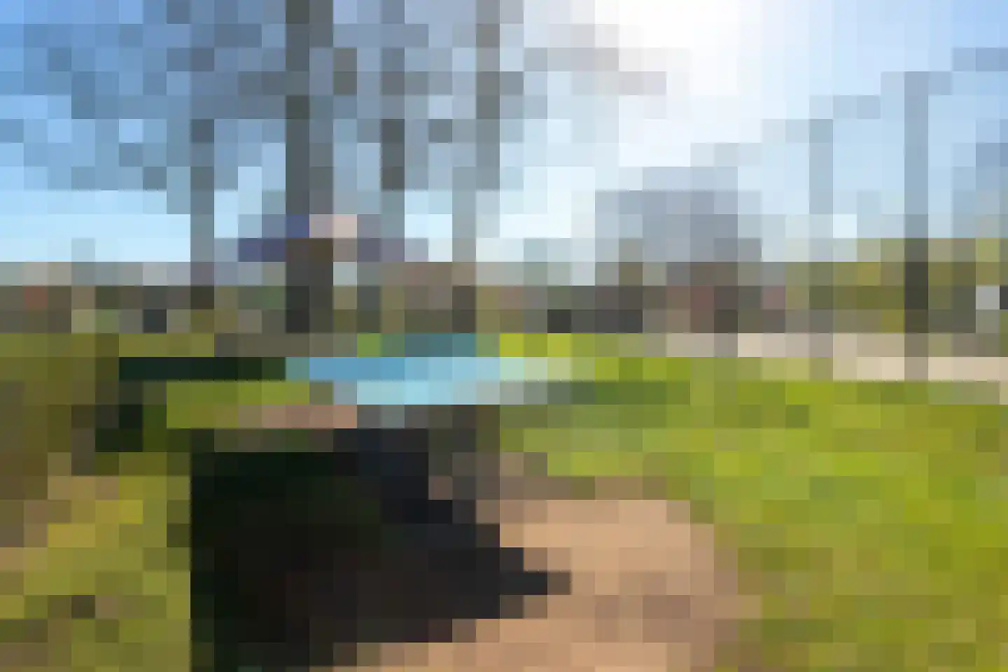 Boschlaan 26 63 Lichtenvoorde thumbnail 37