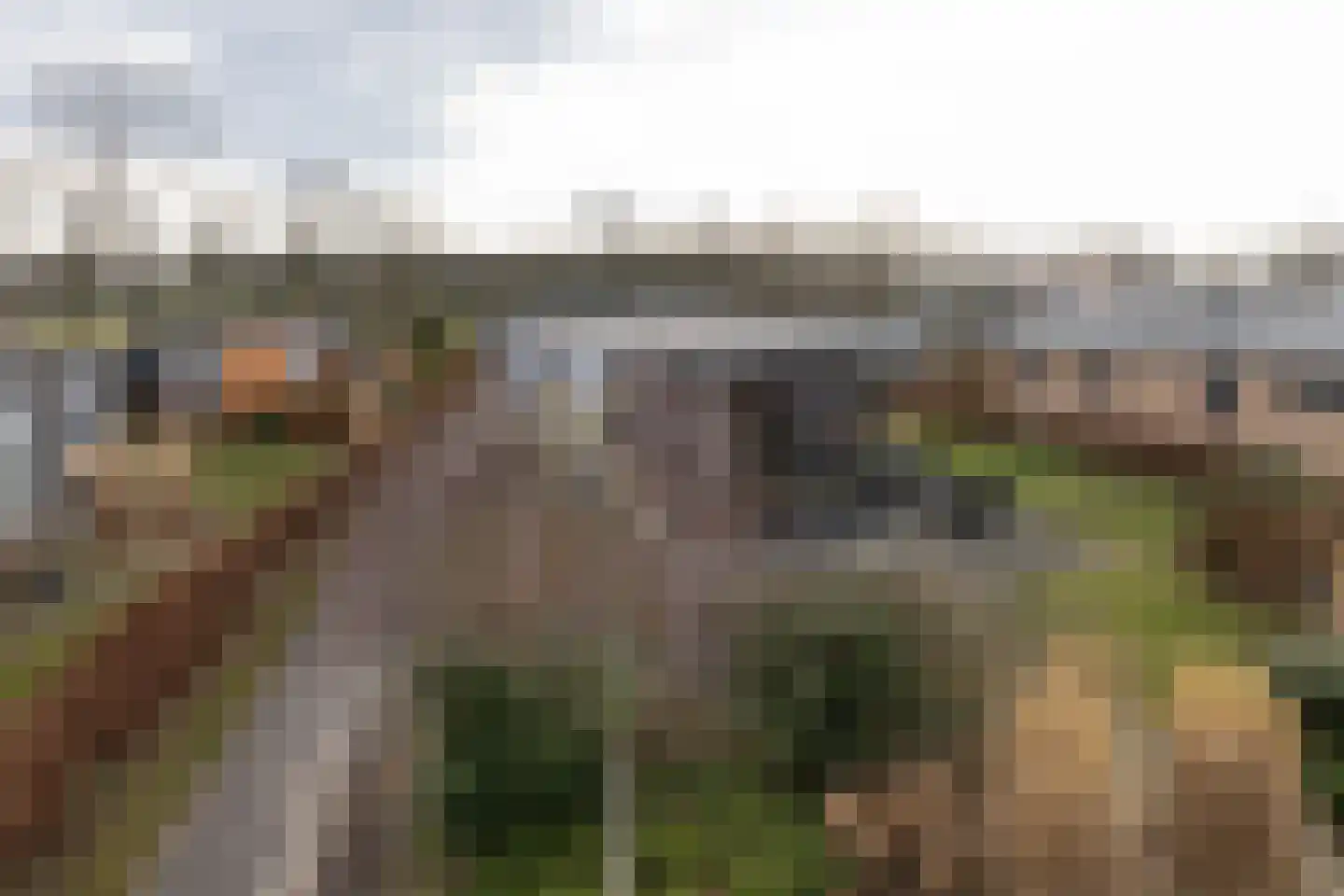Boschlaan 26 68 Lichtenvoorde thumbnail 13