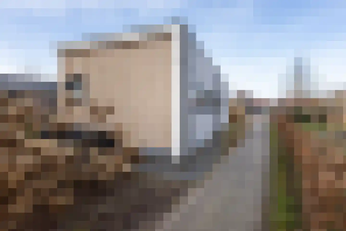 Boschlaan 26 68 Lichtenvoorde thumbnail 15