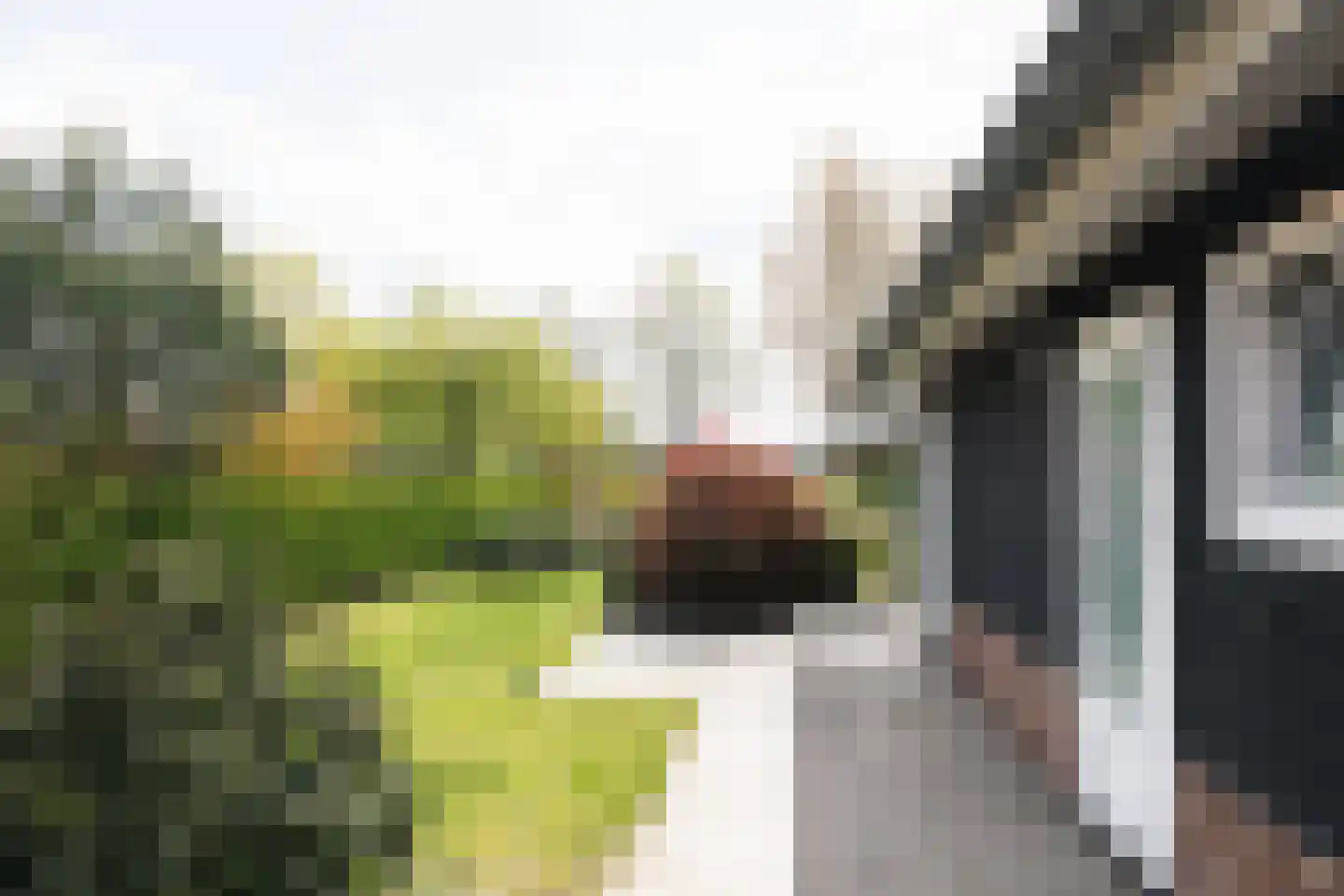 Boschlaan 26 94 Lichtenvoorde thumbnail 24