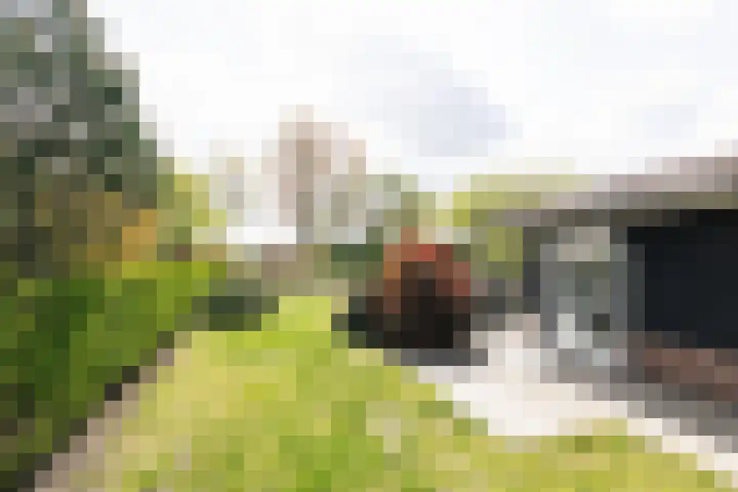 Boschlaan 26 94 Lichtenvoorde thumbnail 25