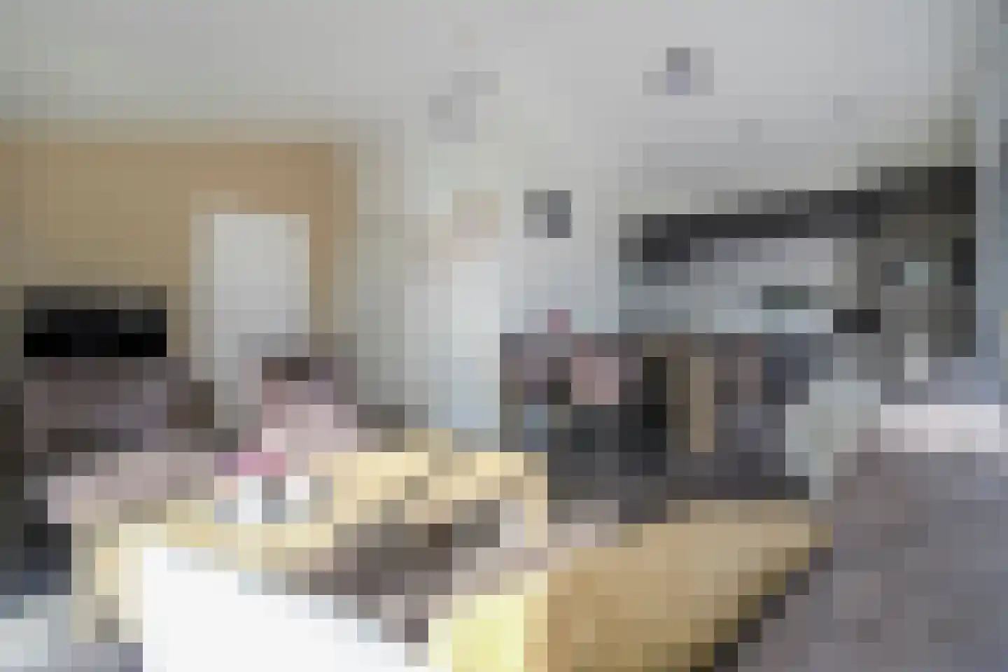 Boschlaan 26 96 Lichtenvoorde thumbnail 5