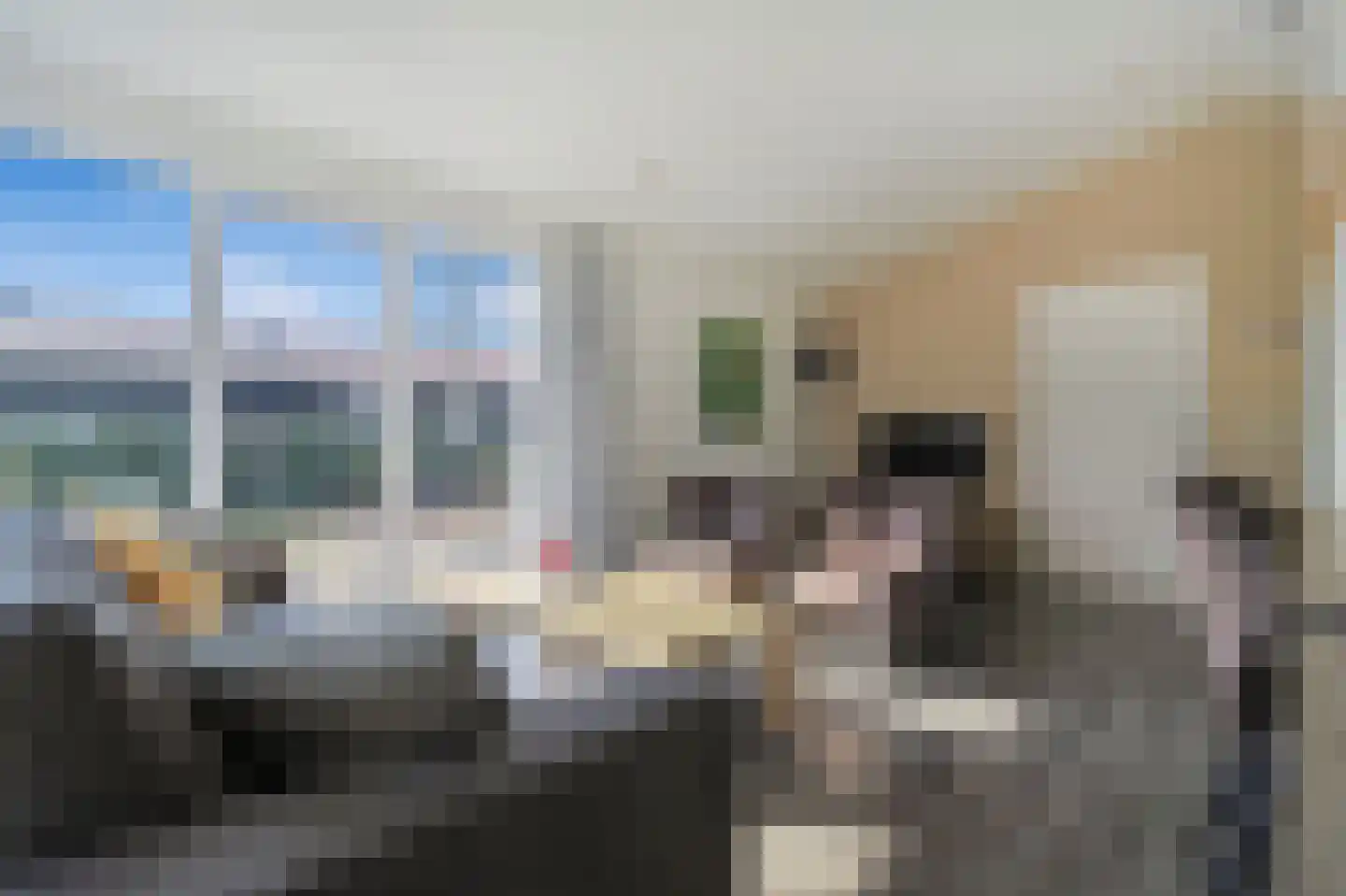 Boschlaan 26 96 Lichtenvoorde thumbnail 7