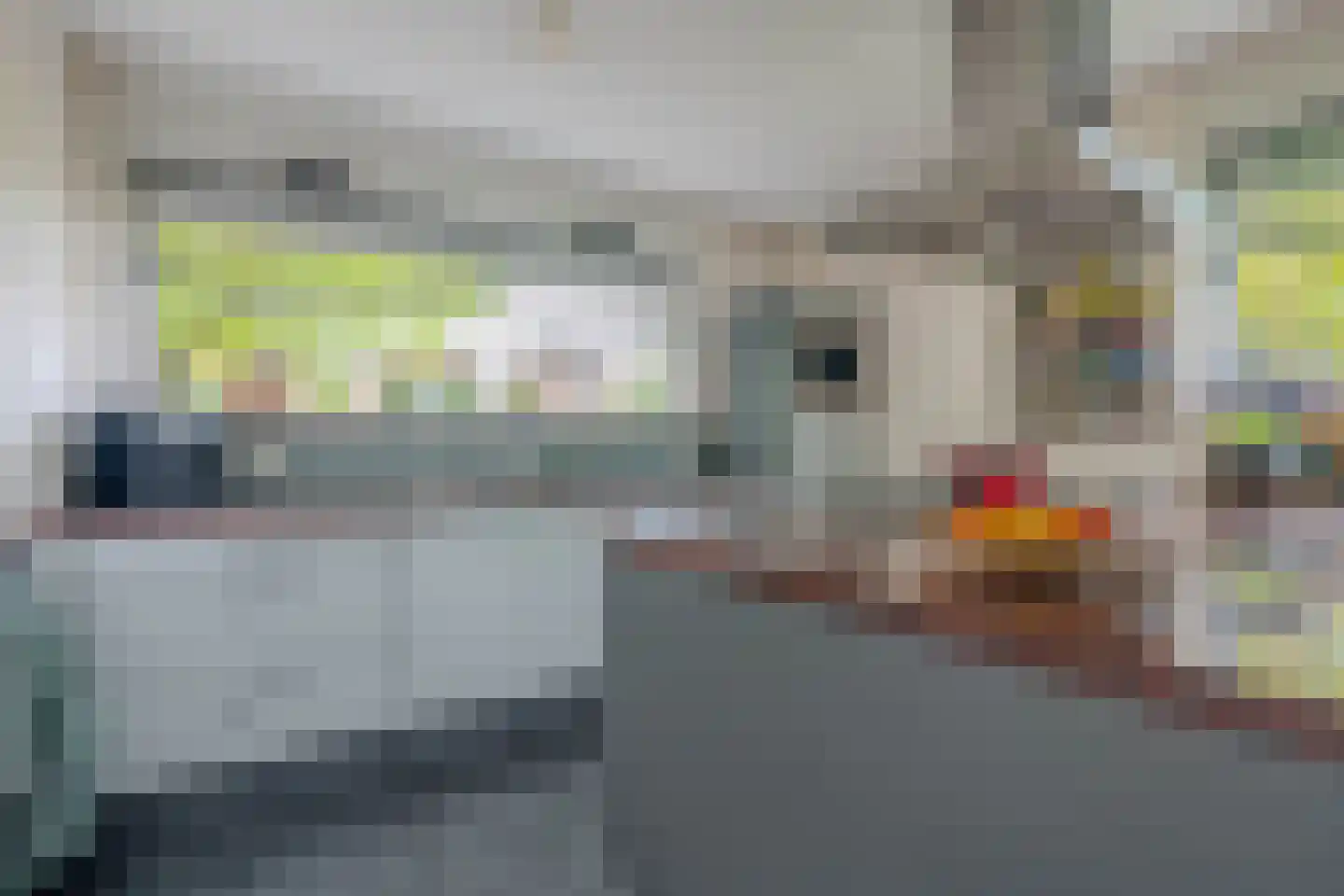 Boschlaan 28 Maasbree thumbnail 18