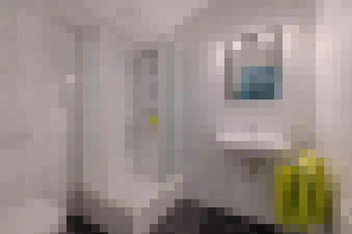 Boschlaan 28 Maasbree thumbnail 32