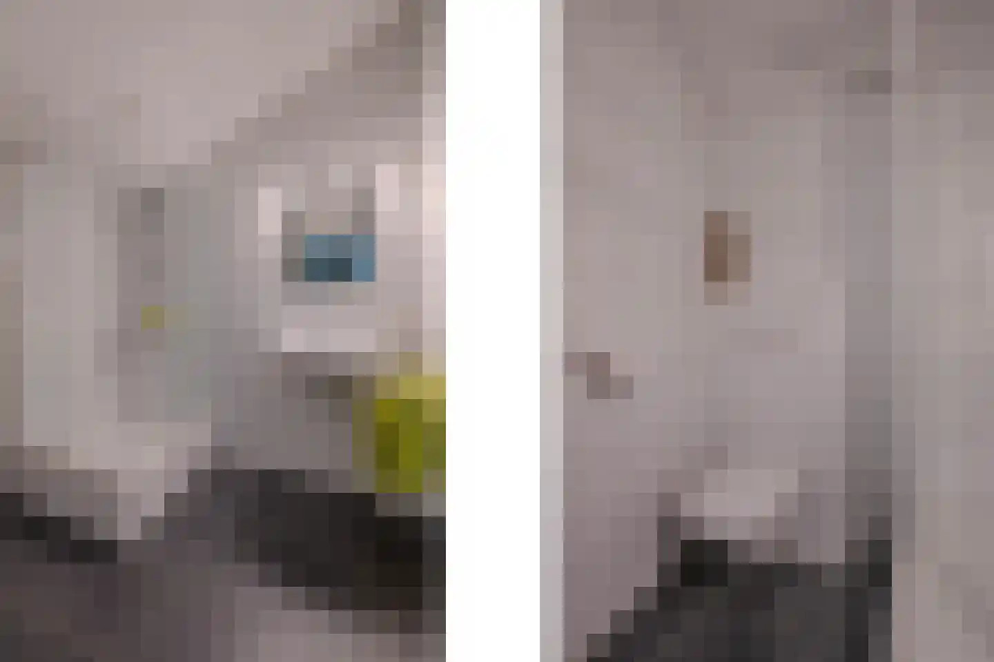 Boschlaan 28 Maasbree thumbnail 33
