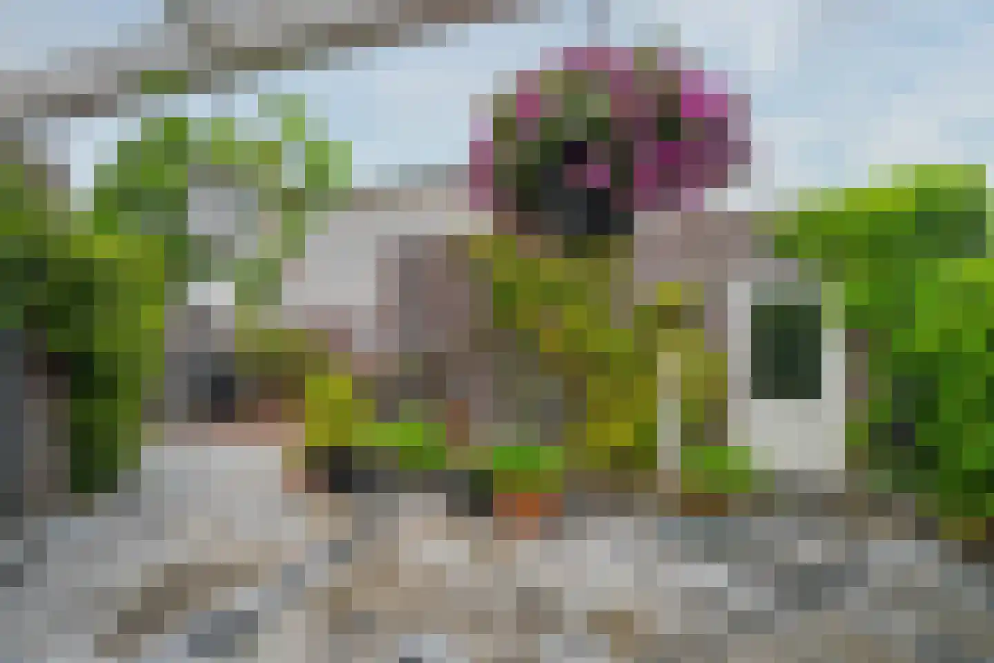 Boschlaan 28 Maasbree thumbnail 37