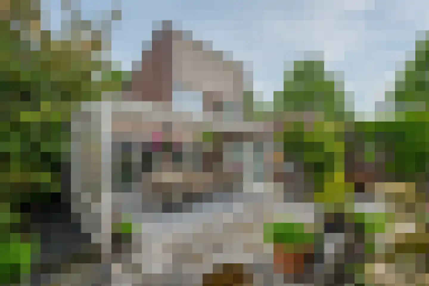Boschlaan 28 Maasbree thumbnail 4