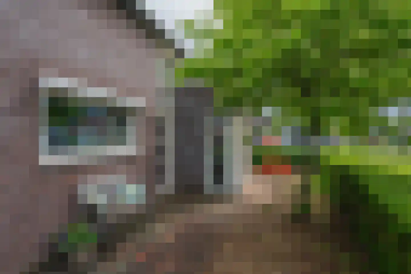 Boschlaan 28 Maasbree thumbnail 45
