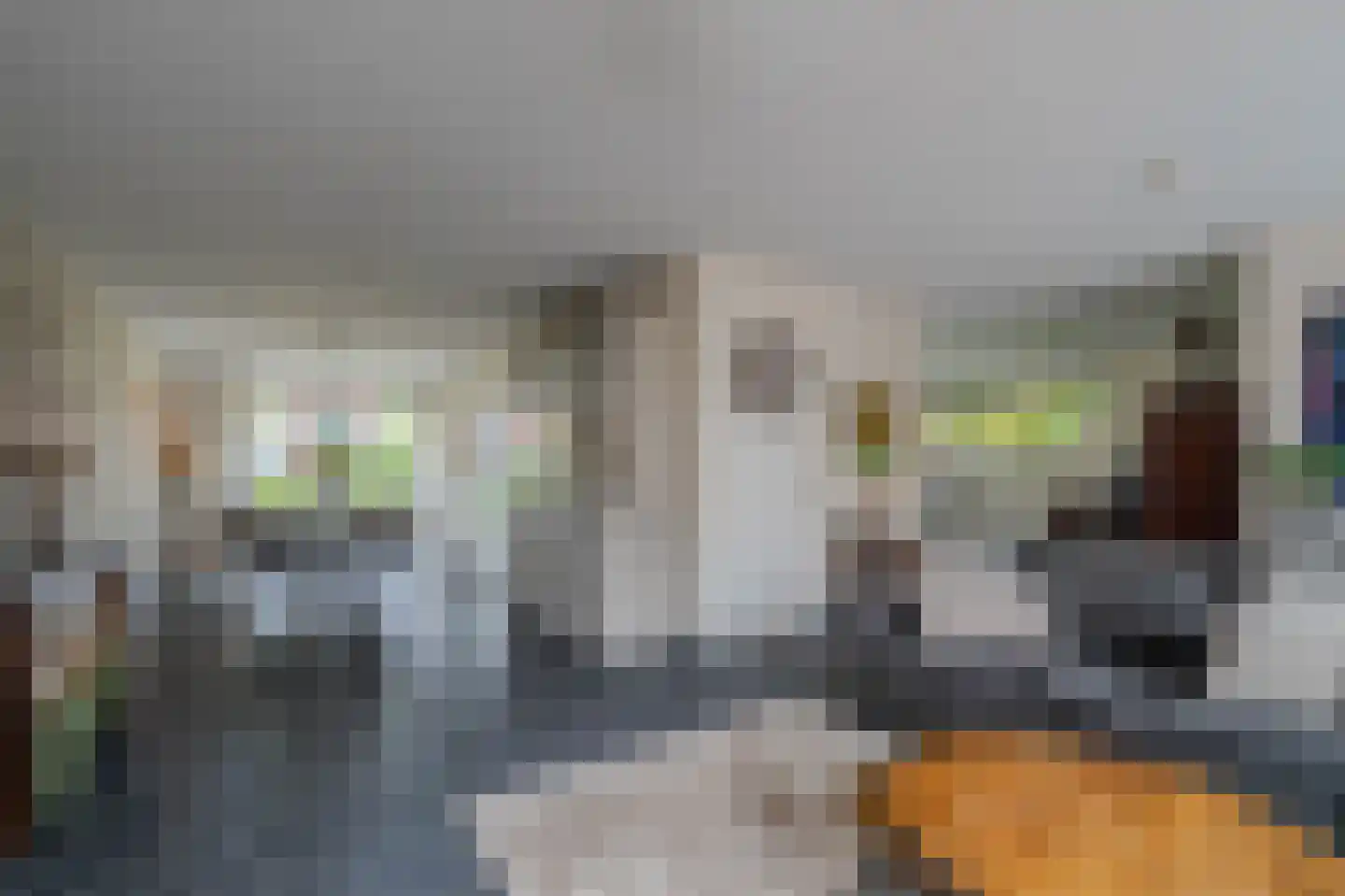 Boschlaan 28 Maasbree thumbnail 5