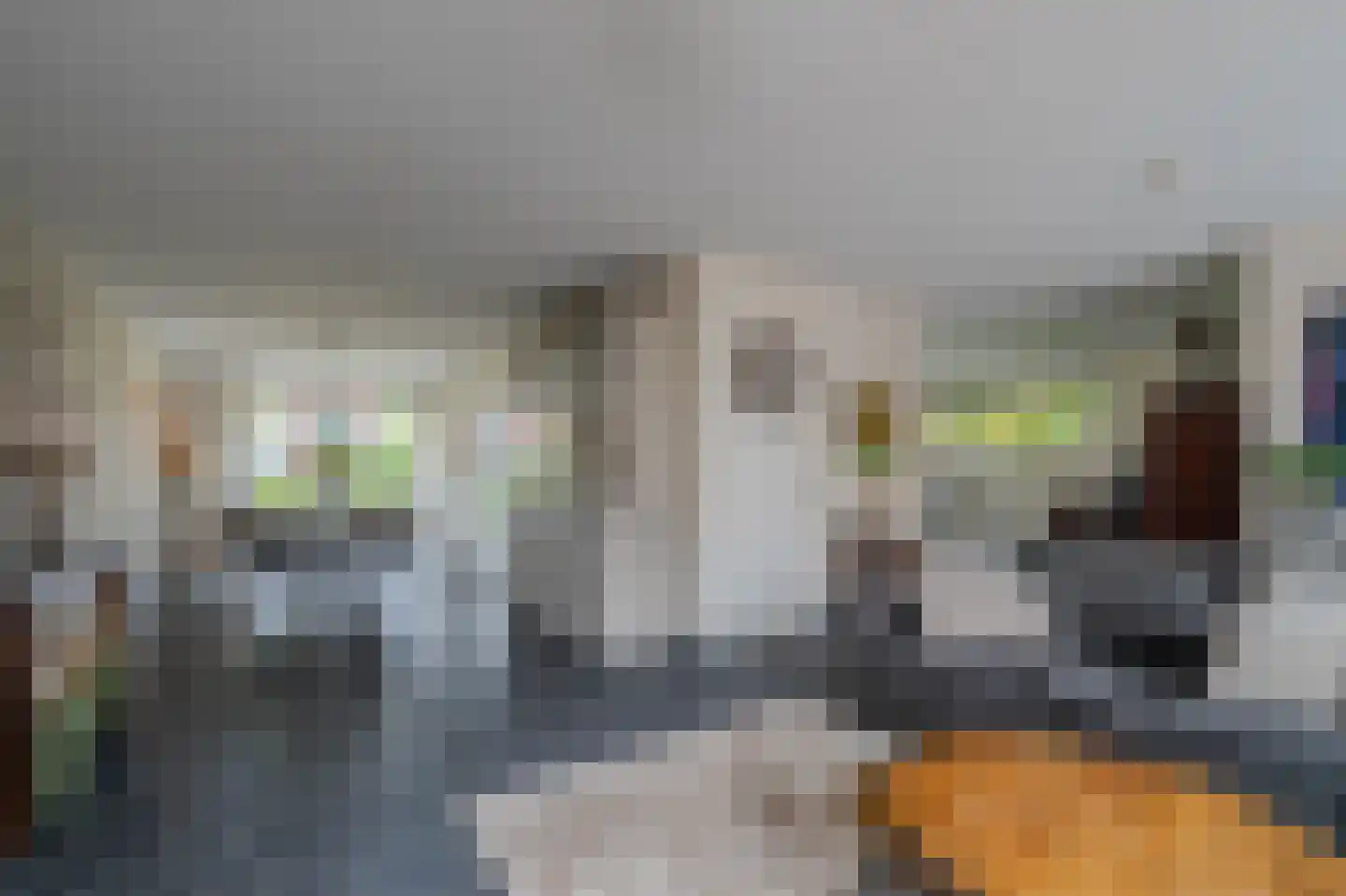 Boschlaan 28 Maasbree thumbnail 8