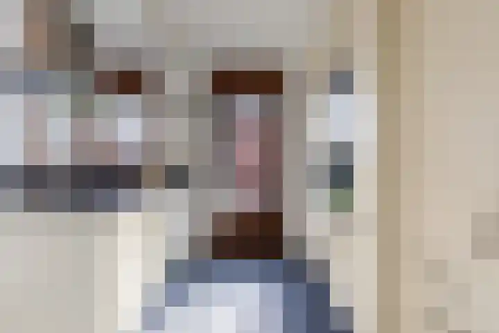 Boschlaan 45 Maasbree thumbnail 12