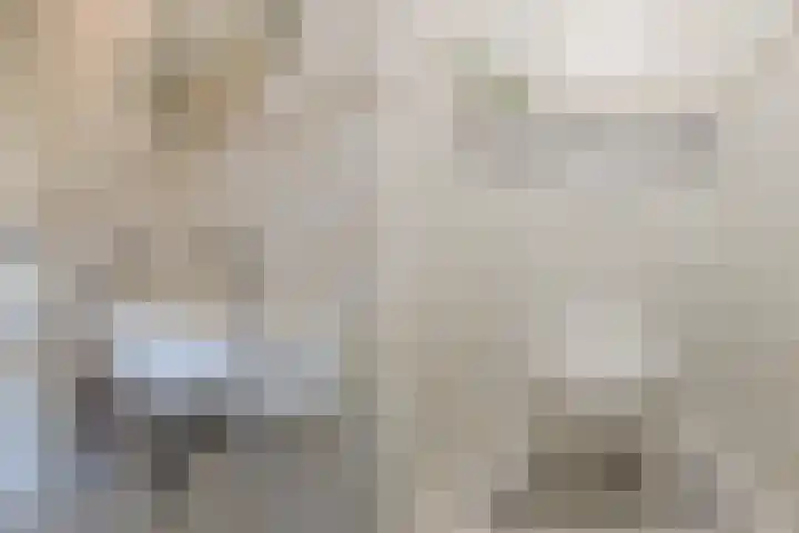 Boschlaan 45 Maasbree thumbnail 17