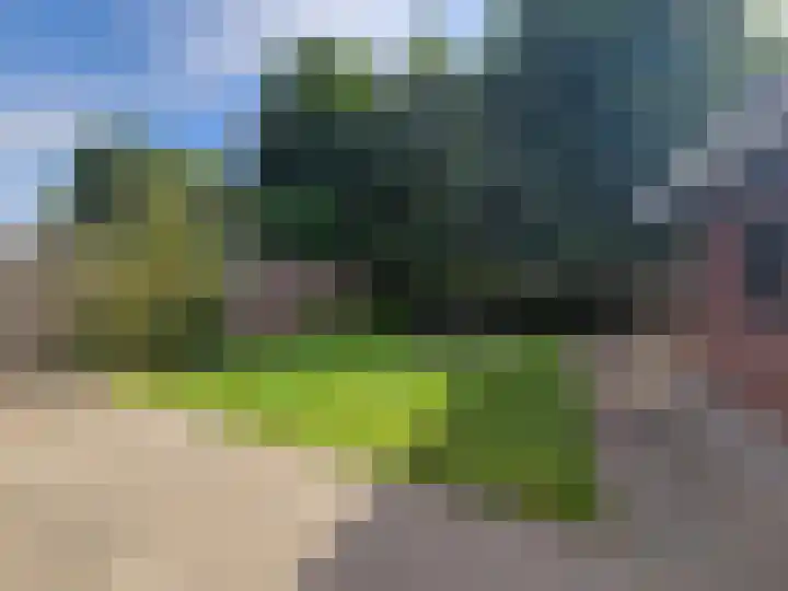 Boschlaan 45 Maasbree thumbnail 35