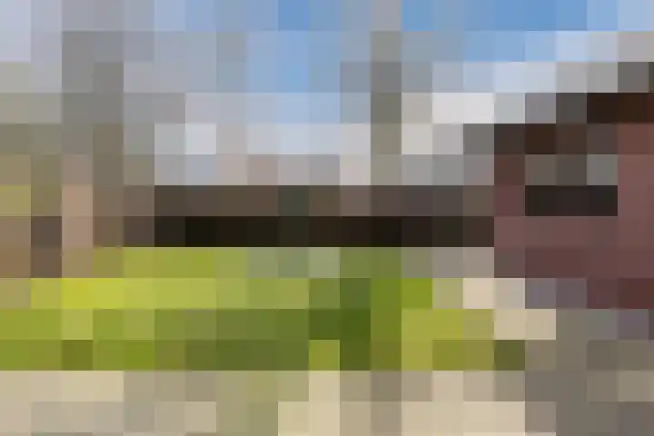 Boschlaan 45 Maasbree thumbnail 7