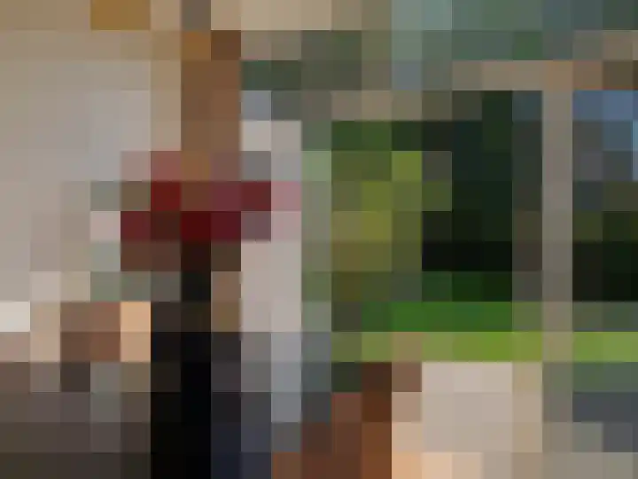 Boschlaan 45 Maasbree thumbnail 9
