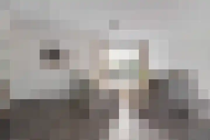 Boschlaan 61 Maasbree thumbnail 10