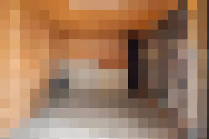 Boschlaan 61 Maasbree thumbnail 31