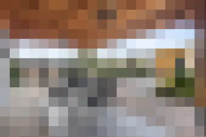 Boschlaan 61 Maasbree thumbnail 32