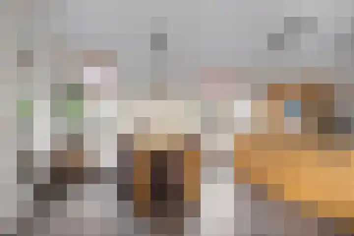 Boschlaan 61 Maasbree thumbnail 4