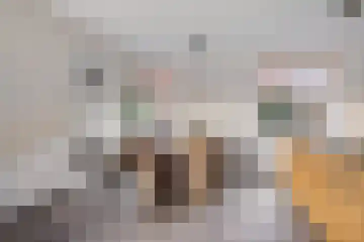 Boschlaan 61 Maasbree thumbnail 8
