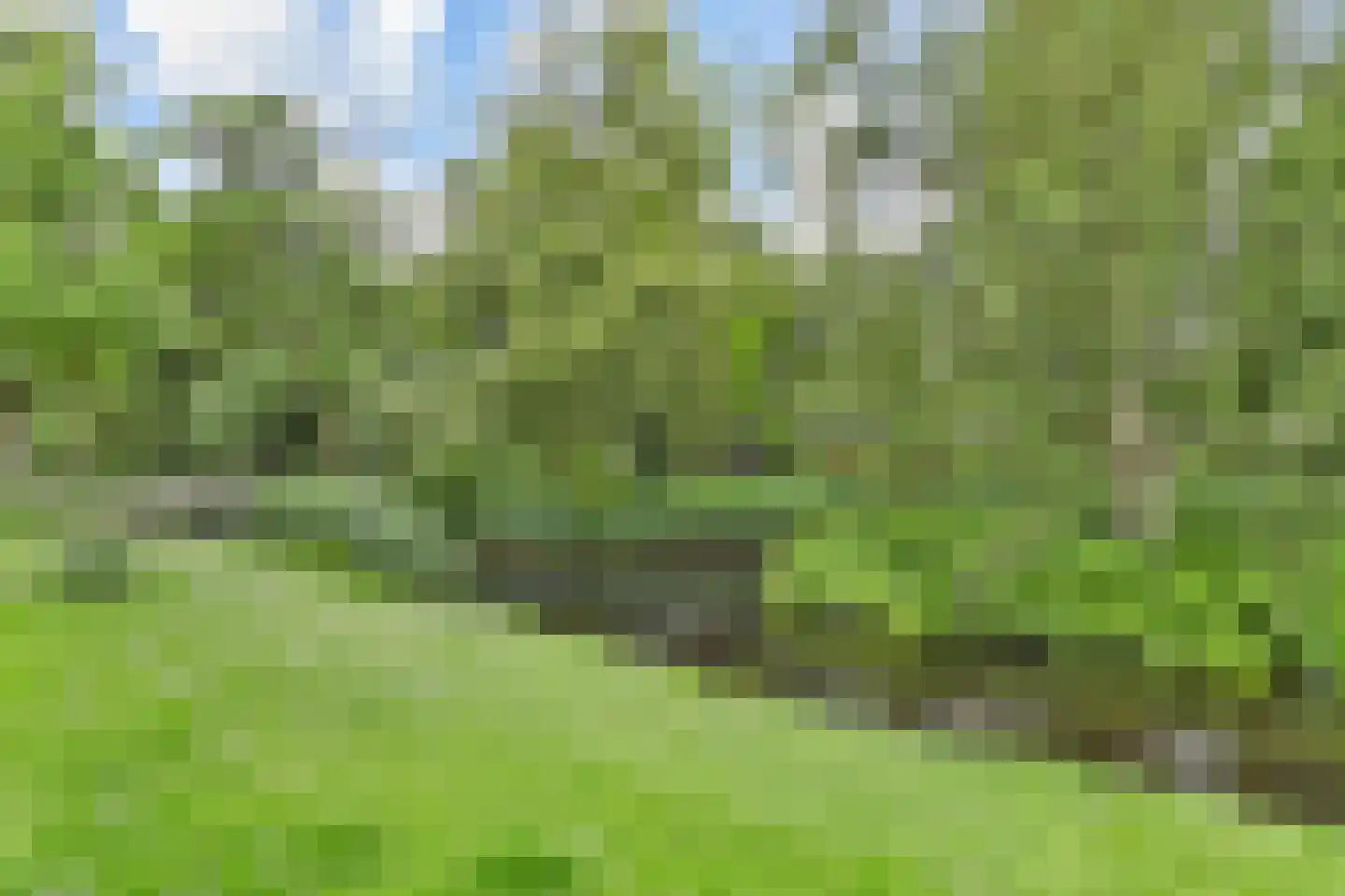 Boschlust 18 Gouda thumbnail 13