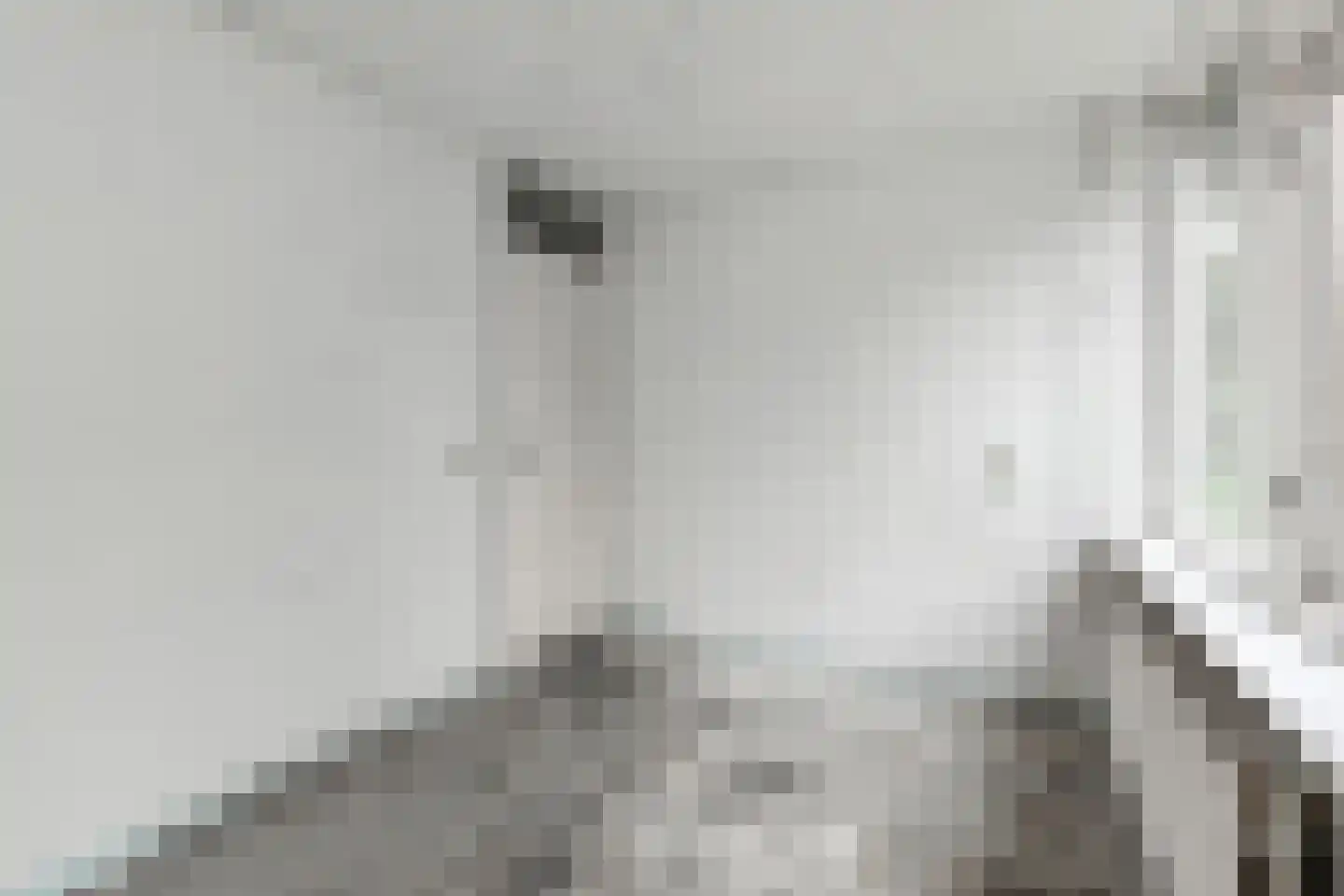 Boschlust 18 Gouda thumbnail 21