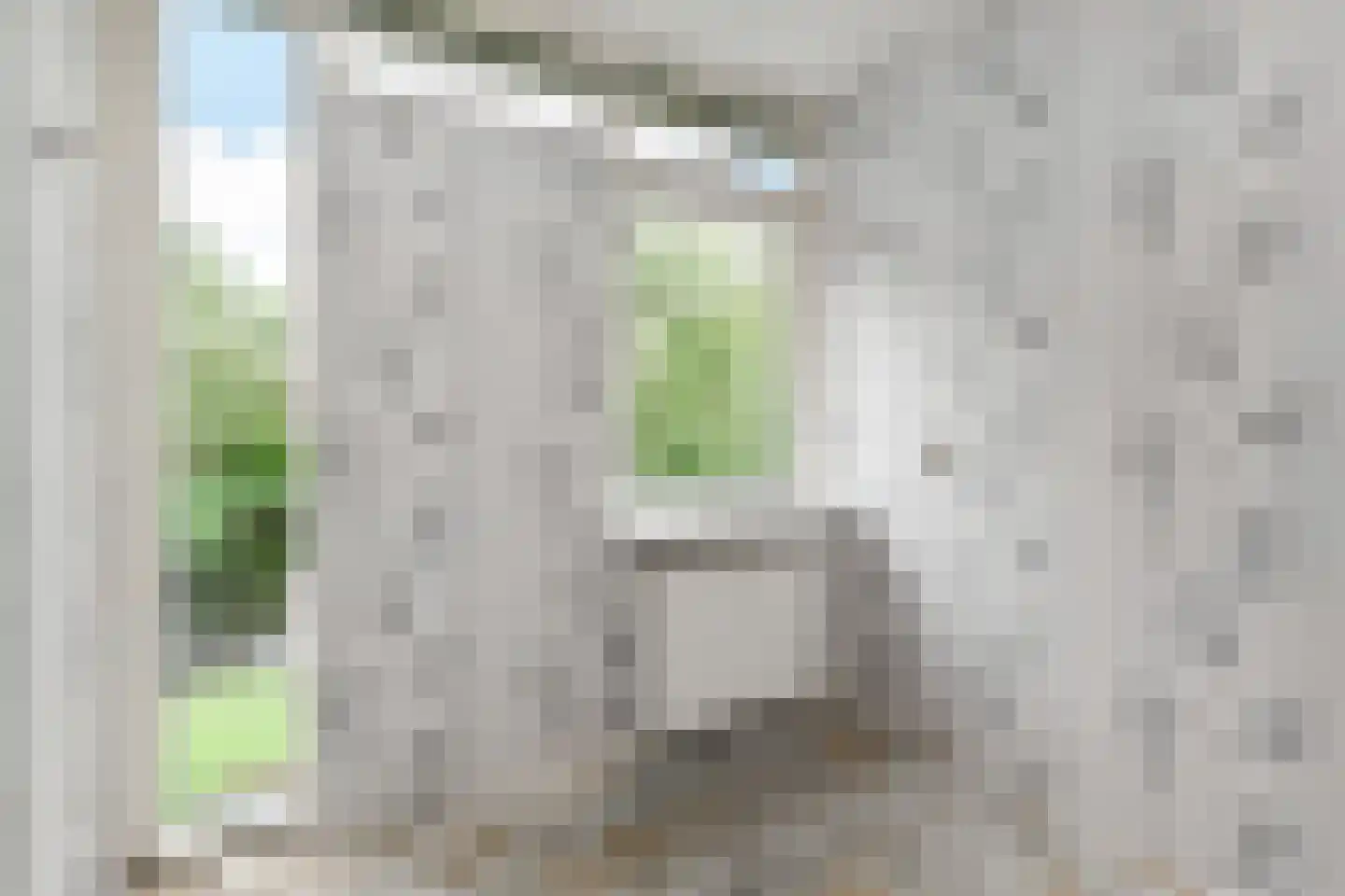 Boschlust 18 Gouda thumbnail 23