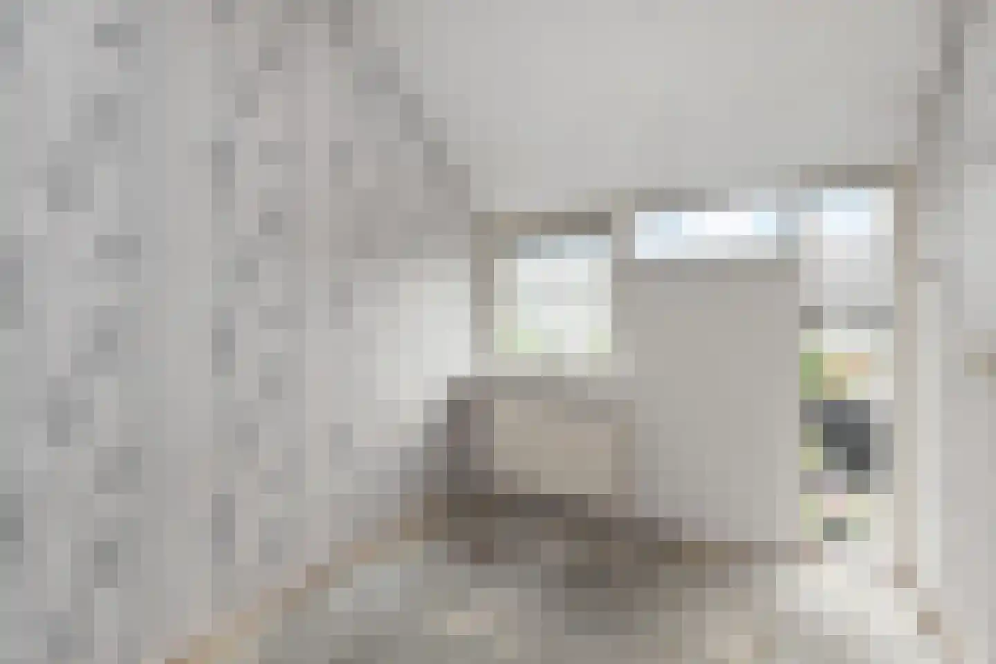 Boschlust 18 Gouda thumbnail 25