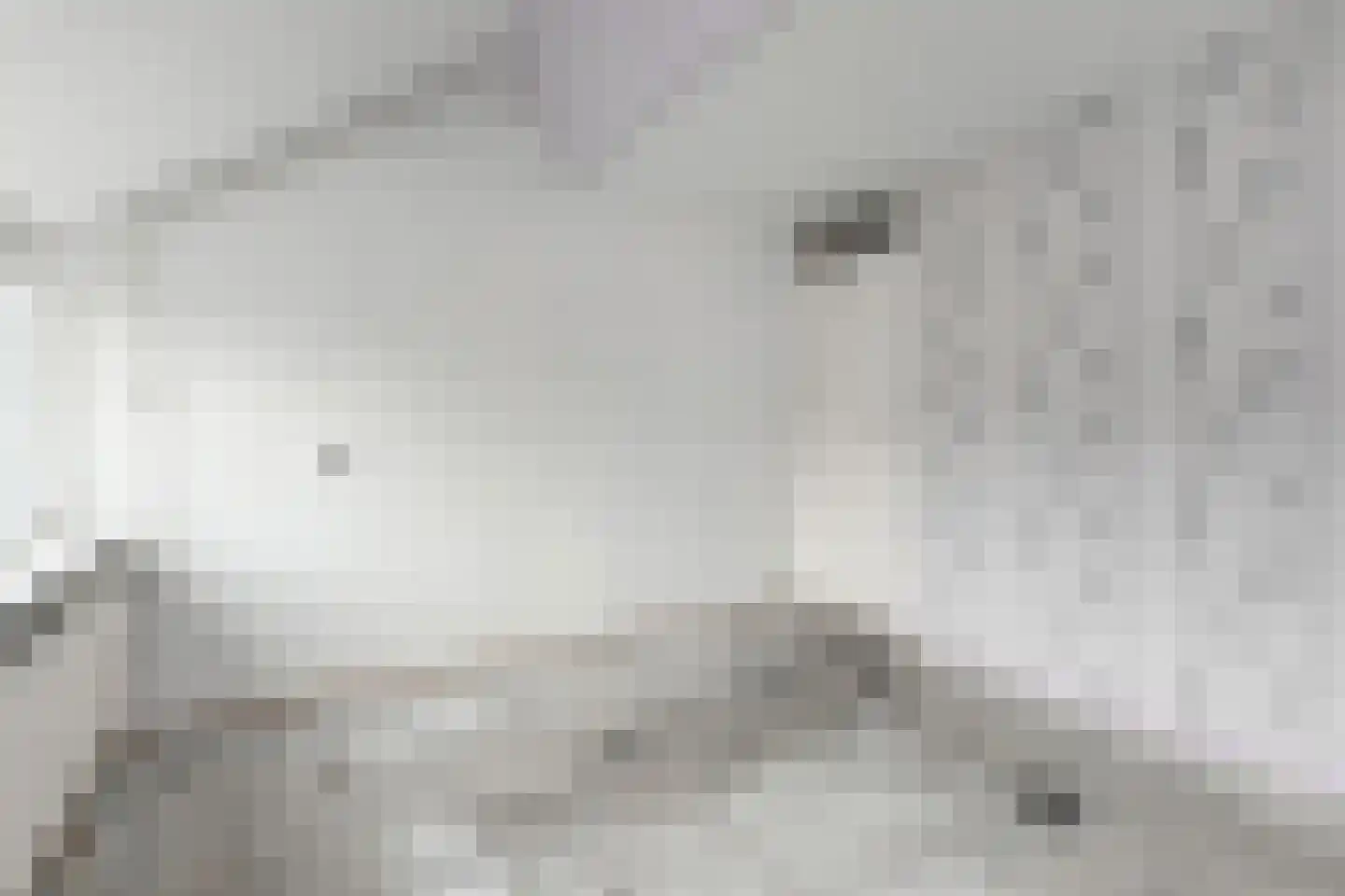 Boschlust 18 Gouda thumbnail 28
