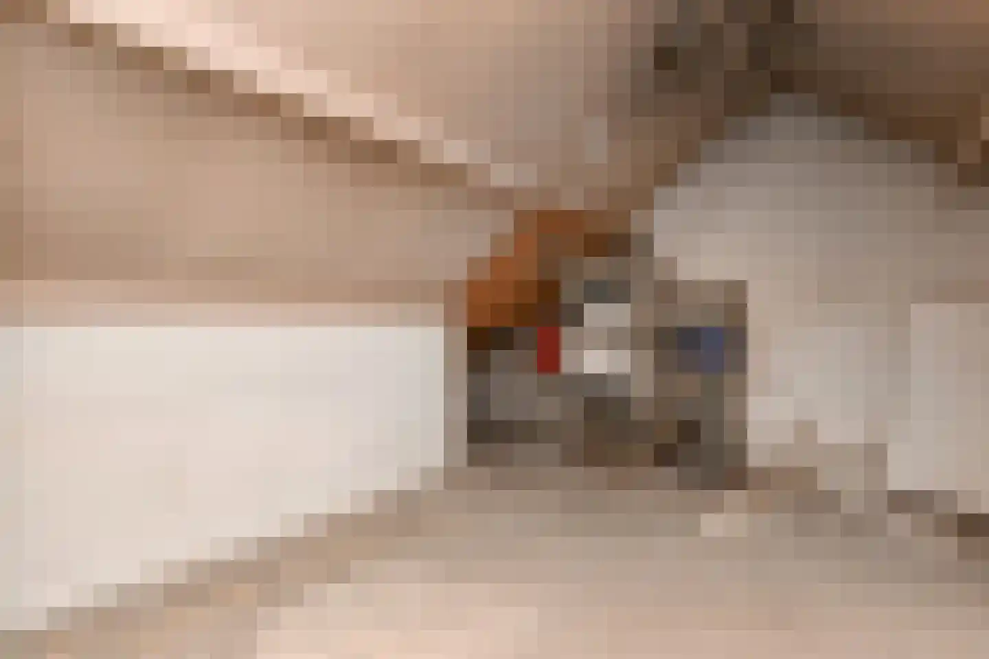 Boschlust 18 Gouda thumbnail 32