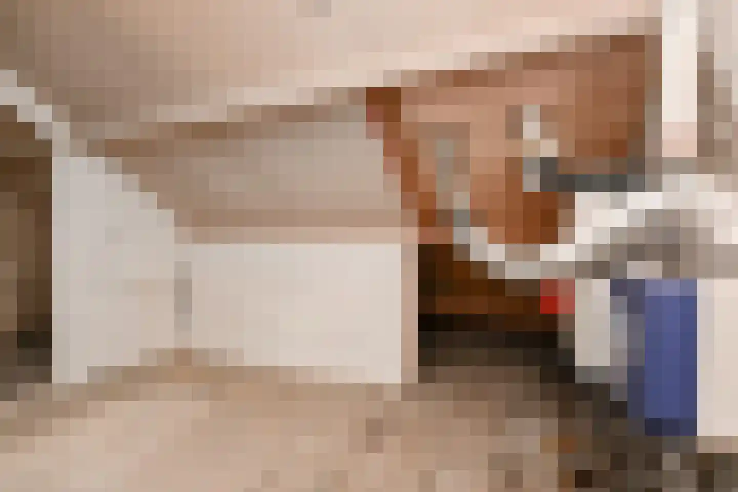 Boschlust 18 Gouda thumbnail 35