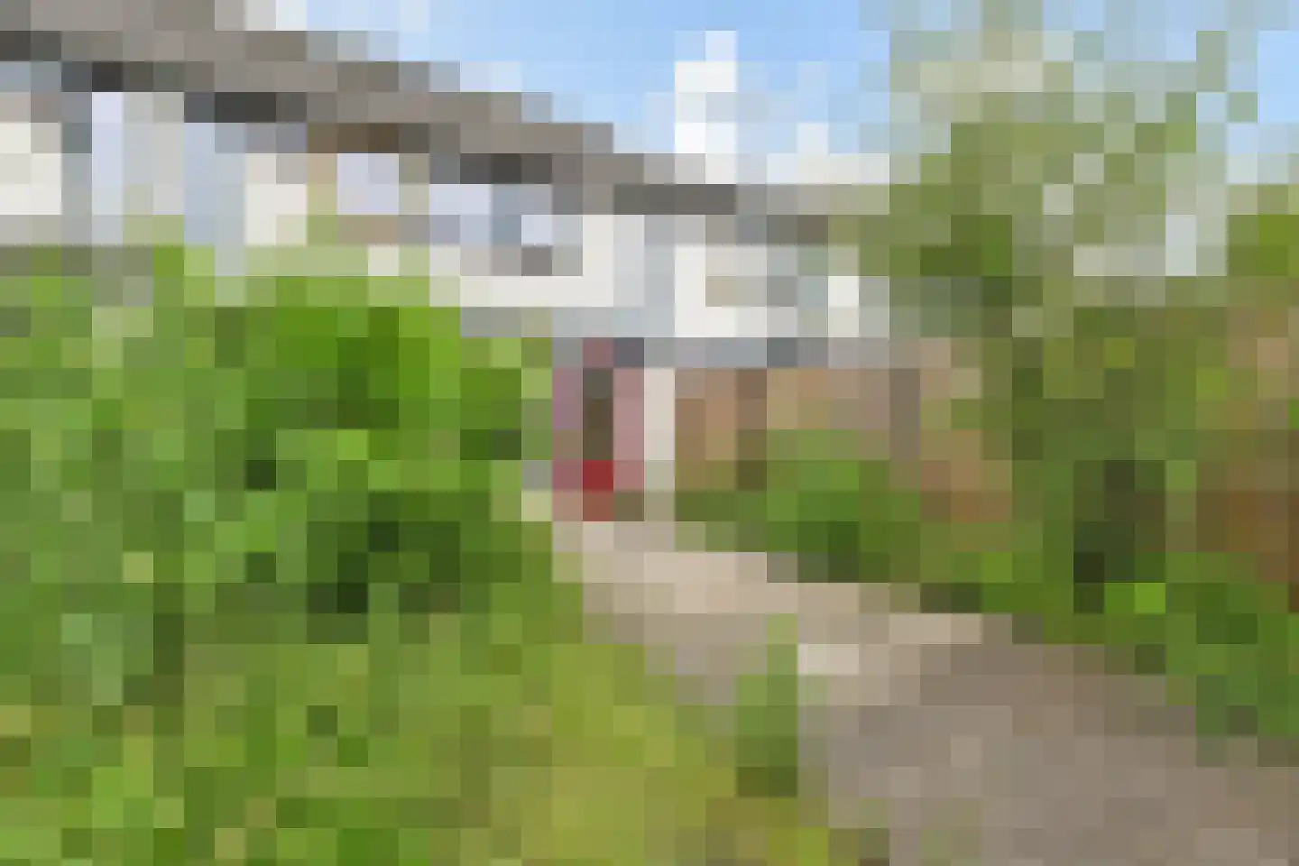 Boschlust 18 Gouda thumbnail 36