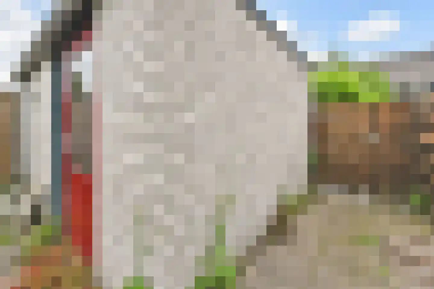 Boschlust 18 Gouda thumbnail 37