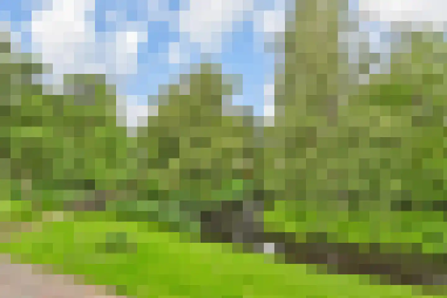 Boschlust 18 Gouda thumbnail 43